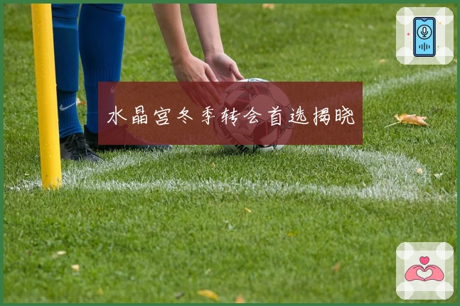 水晶宫冬季转会首选揭晓