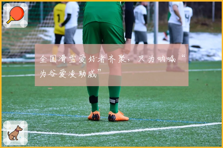 全国滑雪爱好者齐聚，只为呐喊“为谷爱凌助威”