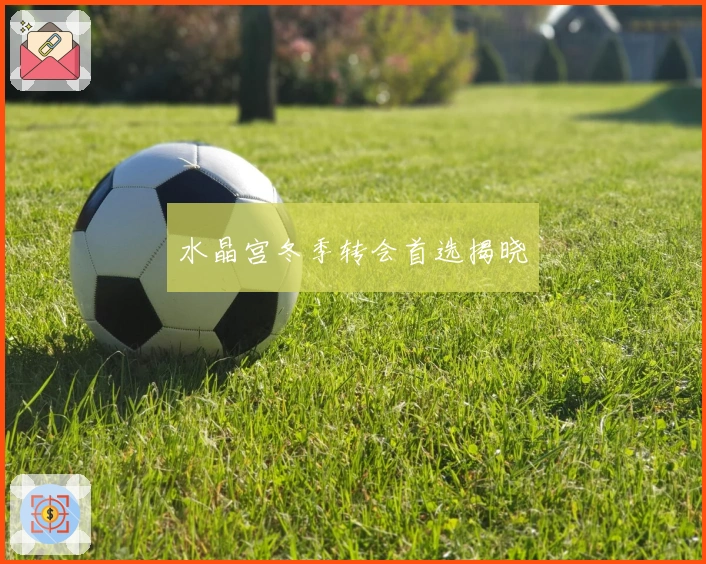 水晶宫冬季转会首选揭晓